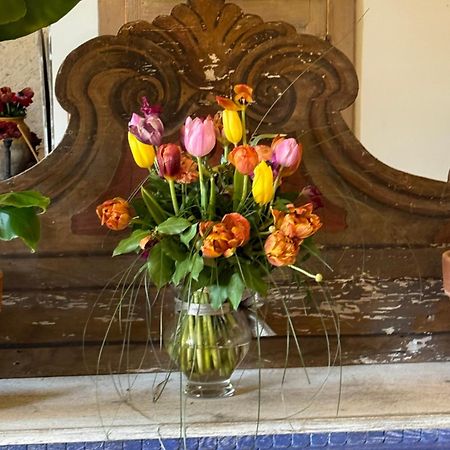 Luco Mugello Casale San Giorgio B&B 외부 사진