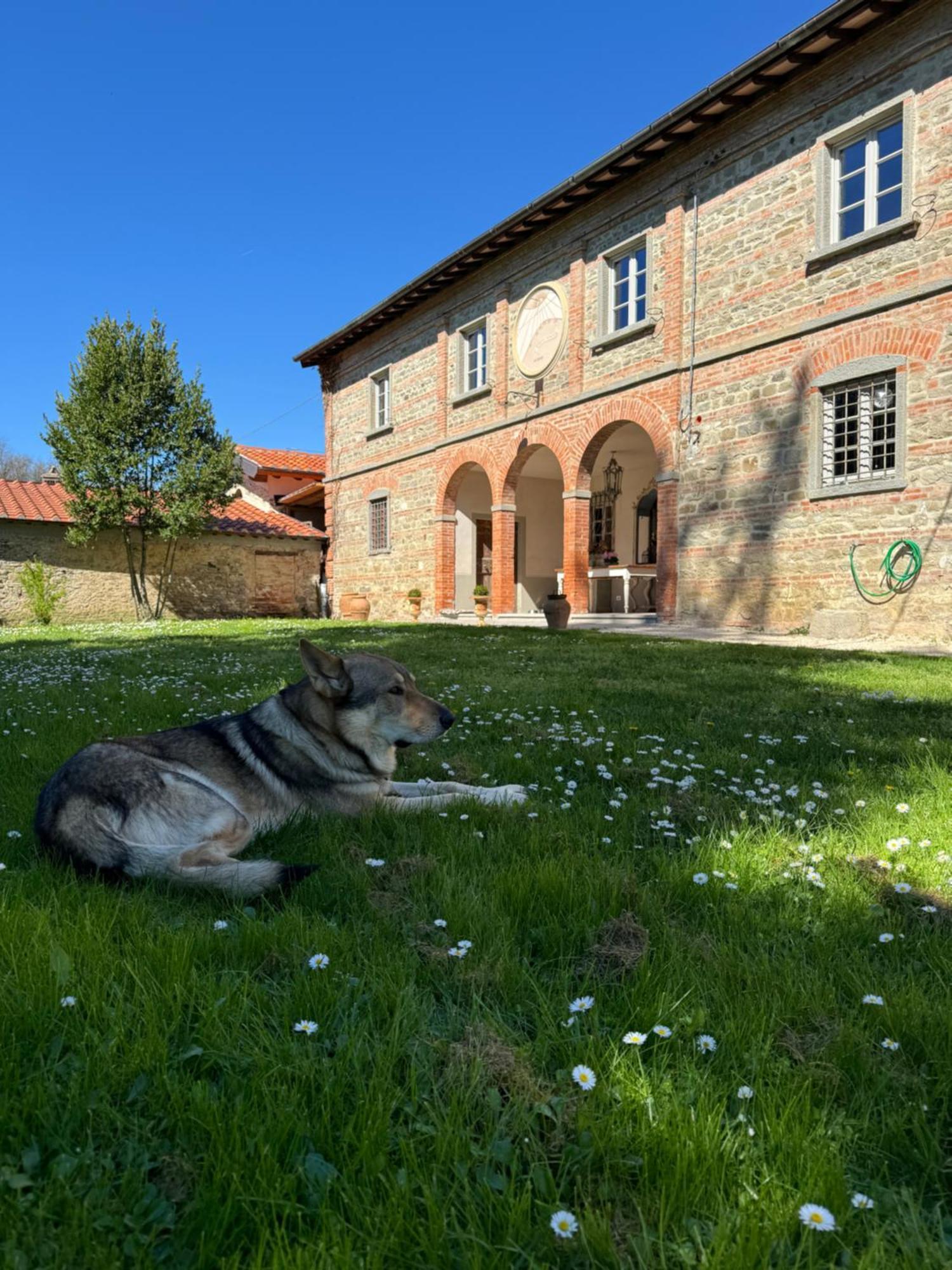 Luco Mugello Casale San Giorgio B&B 외부 사진